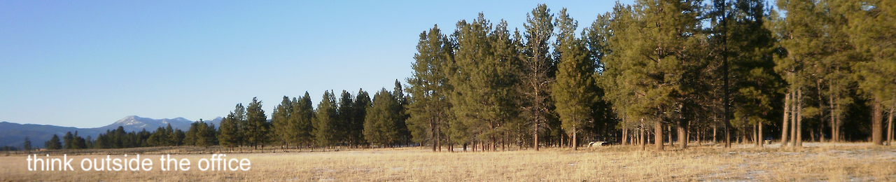 A photograph of a late fall landscape in Oregon's high dessert, with the motto "think outside the office."